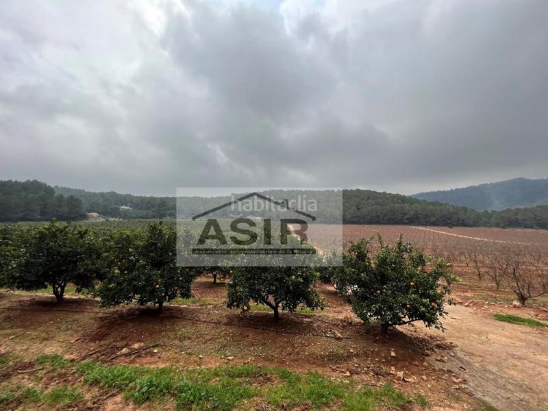 Foto 6838ae85-4f3f-41f9-bdc8-1371f9e9201a. Chalet con parcheggio in Urbanitzacions i Pedanies Sud Alzira