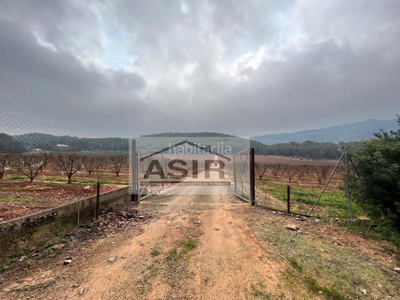 Foto 6bd16a1b-8177-454e-af2e-e24c547e4e6b. Chalet con parcheggio in Urbanitzacions i Pedanies Sud Alzira