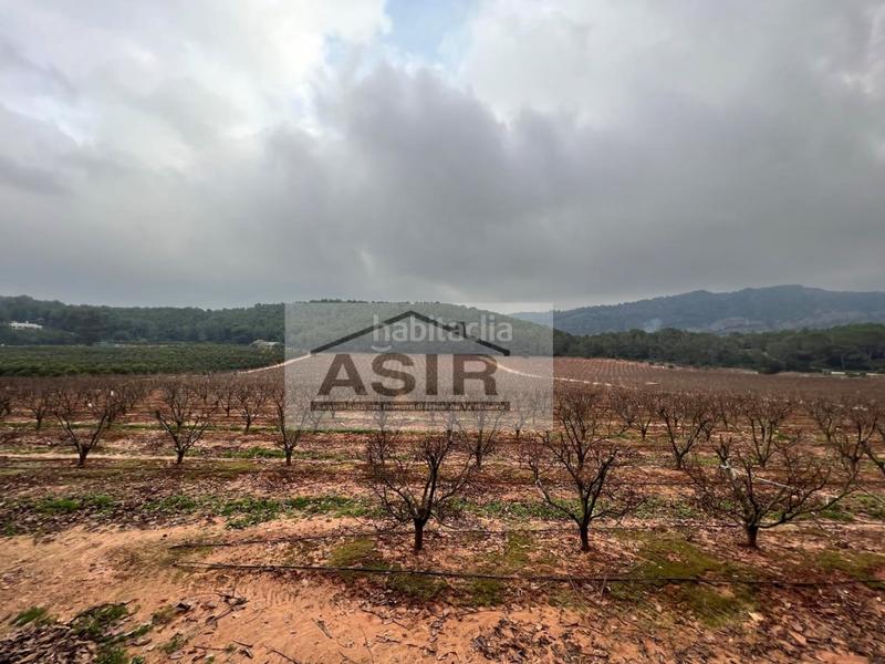 Foto 6c3627fc-d599-4b99-94fa-8b774198bf7b. Chalet con parcheggio in Urbanitzacions i Pedanies Sud Alzira