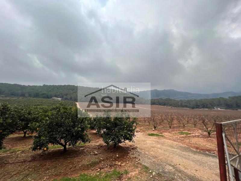 Foto 9f94835f-f547-43f3-b422-24cf40d84474. Chalet con parcheggio in Urbanitzacions i Pedanies Sud Alzira