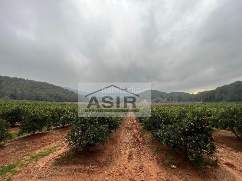 Foto b7ab7413-df9c-4a0f-9116-841ce9cc7188. Chalet con parcheggio in Urbanitzacions i Pedanies Sud Alzira