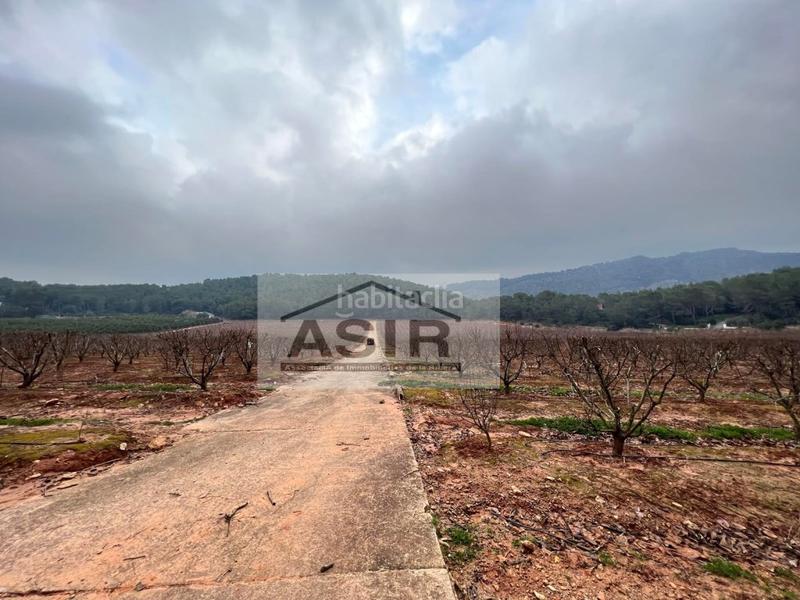 Foto bd7c7d16-1522-499d-bbb0-571521f1dabe. Chalet con parcheggio in Urbanitzacions i Pedanies Sud Alzira