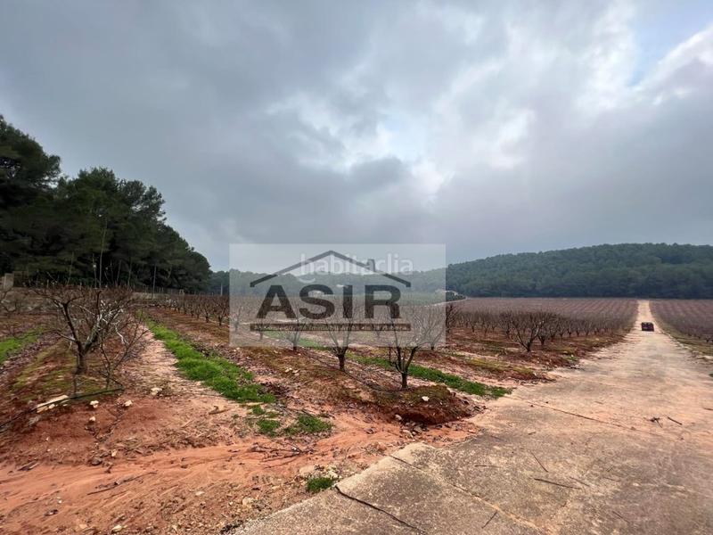 Foto d8faedba-62ec-4d79-8190-faff6f3cce53. Chalet con parcheggio in Urbanitzacions i Pedanies Sud Alzira