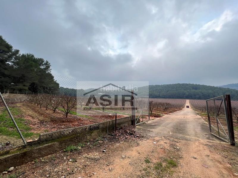 Foto dcd92046-e8d8-470b-af88-018e7aecf34c. Chalet con parcheggio in Urbanitzacions i Pedanies Sud Alzira