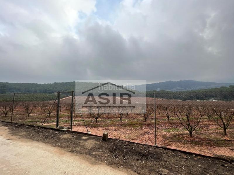 Foto e613de63-ffa0-47b5-9b95-33e3b0a7035a. Chalet con parcheggio in Urbanitzacions i Pedanies Sud Alzira