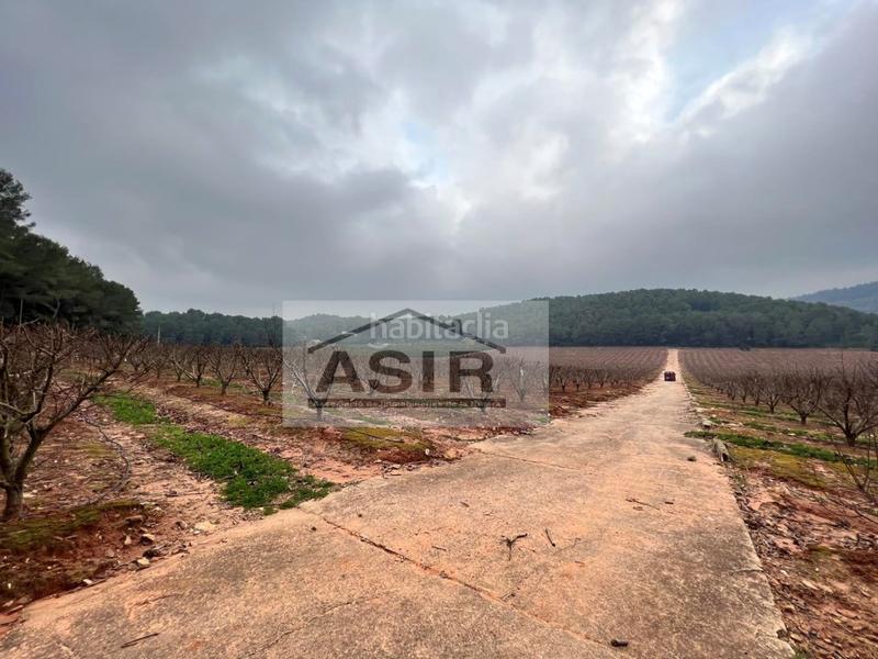 Foto e71c4fa9-ce26-4fab-9db9-e11d2b71b97f. Chalet con parcheggio in Urbanitzacions i Pedanies Sud Alzira