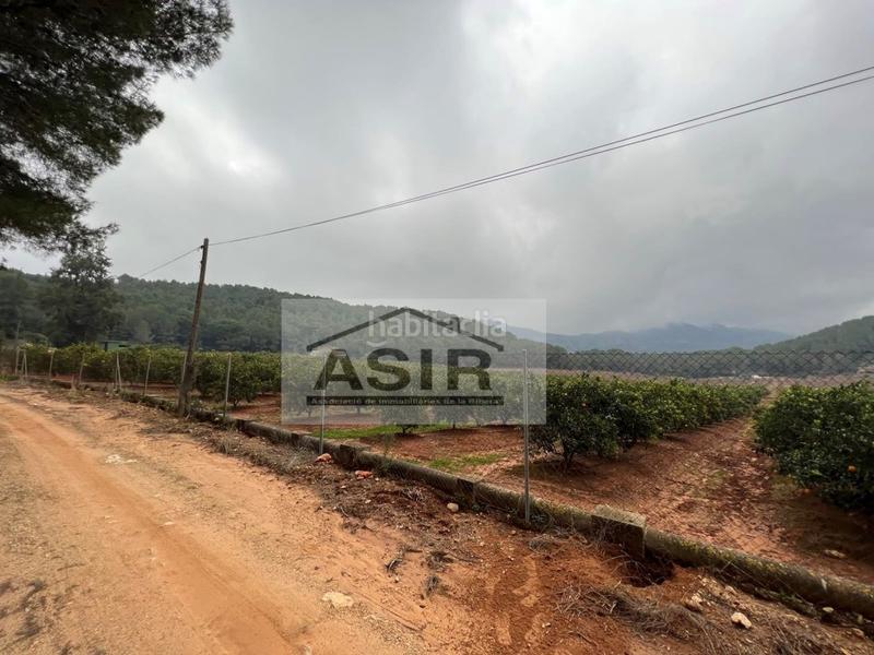 Foto fb32fb78-335a-4914-ab93-0d6879603f45. Chalet con parcheggio in Urbanitzacions i Pedanies Sud Alzira