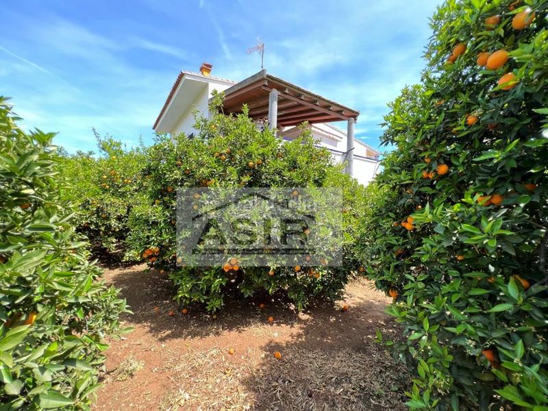 Foto 270a7448-67c8-427c-89a0-74ea5dce0312. Chalet mit parking pool in Urbanitzacions i Pedanies Nord Alzira