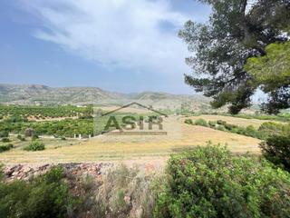 Terreny residencial a Sumacàrcer. Excelente finca de suelo rústico para cultivar cualquier tipo de