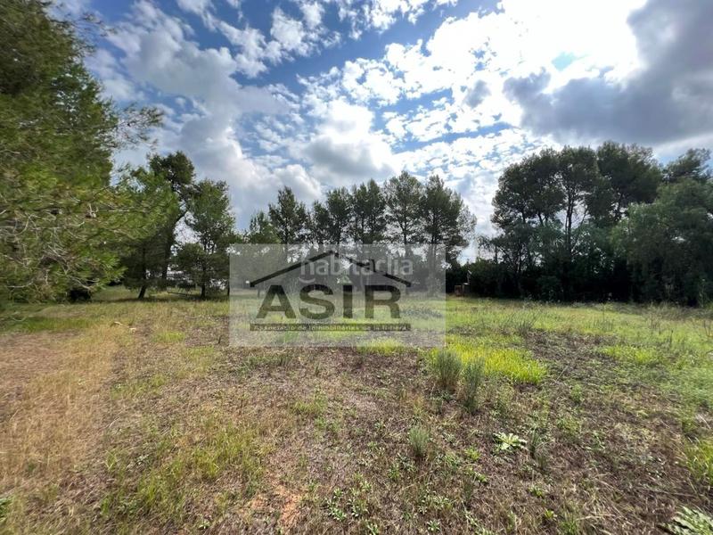 Foto 060bbf1c-fbde-46a1-af3e-abade88bb52e. Terreno residenziale in Alberic