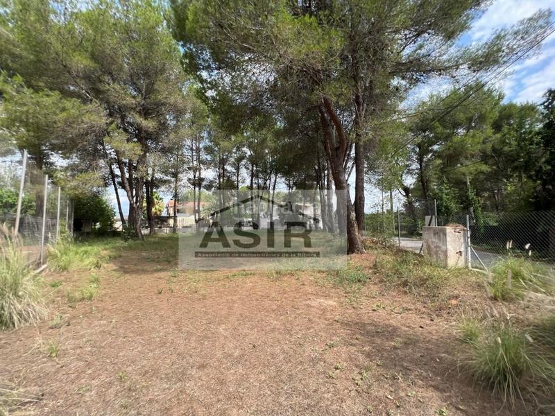 Foto 69059e95-dcc8-4400-9e8c-e0dafcd745c8. Terreno residenziale in Alberic