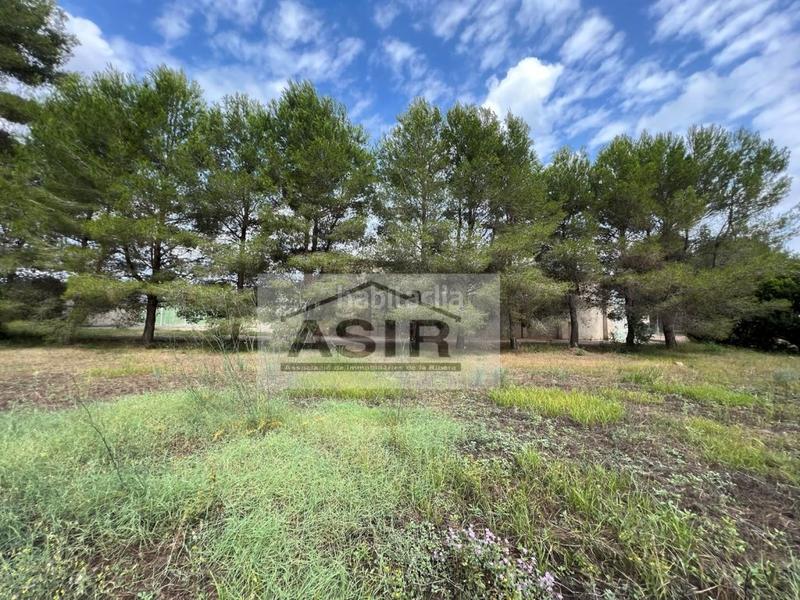 Foto 8e5f4888-d8a7-4a12-a187-41b6ae126aac. Terreno residenziale in Alberic