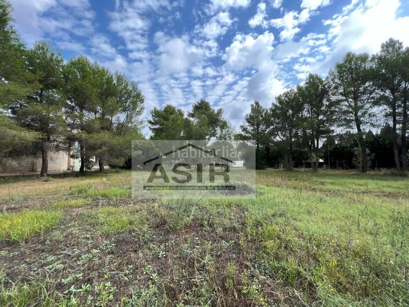 Foto c92443e7-29e2-4e93-b8fb-e9e6ea5ddc22. Terreno residenziale in Alberic