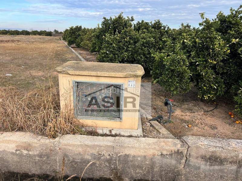 Foto dc437ffa-3bb7-4661-8ba7-772d8912cc3e. Terreno residenziale in Urbanitzacions i Pedanies Nord Alzira