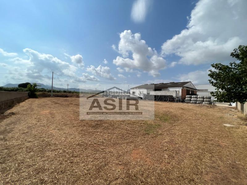 Foto 93c0b58a-c664-4ff9-9b53-6b4419b60d9b. Capannone industriale in Urbanitzacions i Pedanies Nord Alzira