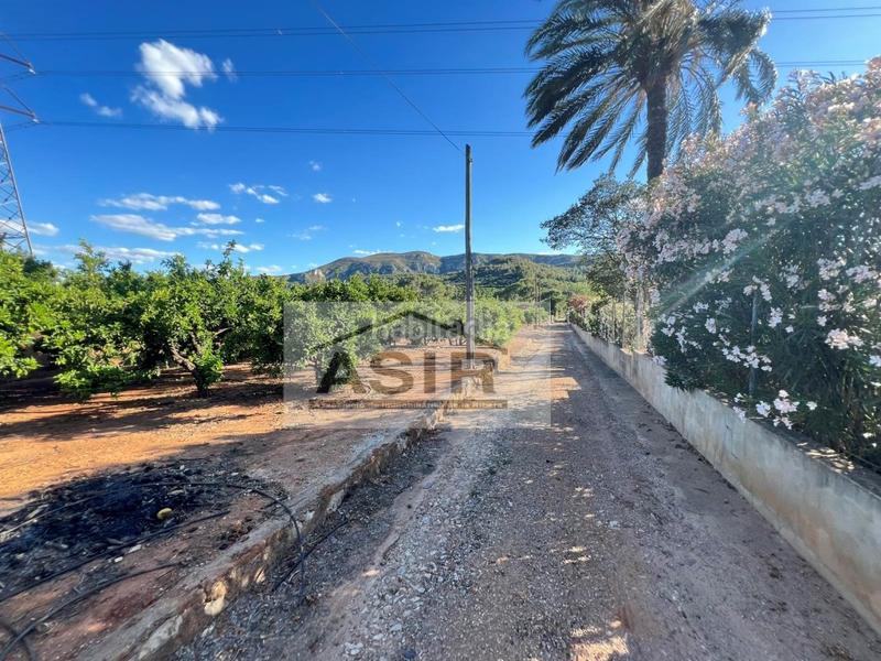 Foto 8b556b02-de8c-46c7-9654-891ca52d7bc9. Wohngrundstück in Urbanitzacions i Pedanies Sud Alzira