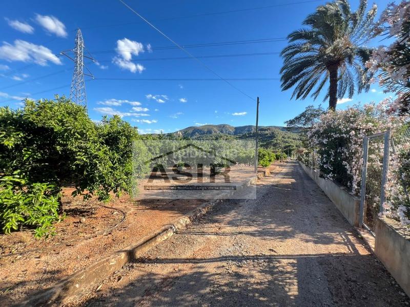 Foto ae09f23b-dd1b-4f28-bb2f-dd3f9fe8e9af. Wohngrundstück in Urbanitzacions i Pedanies Sud Alzira