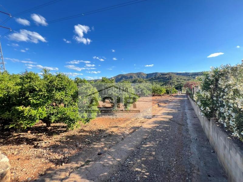 Foto d8c20c25-aac4-49b7-bba0-172c7d679c7f. Wohngrundstück in Urbanitzacions i Pedanies Sud Alzira