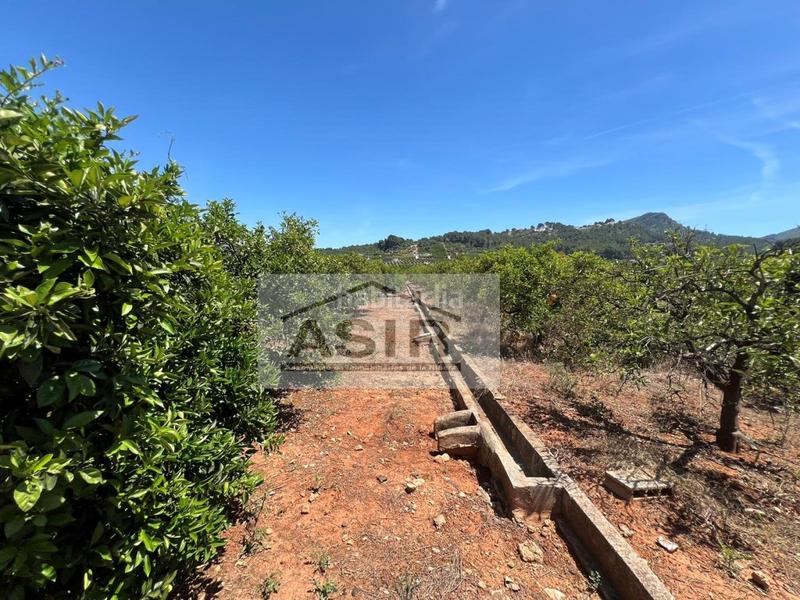 Foto 22c11263-5ee0-400b-aa96-3f9b8e80546d. Chalet  venta en Urbanitzacions i Pedanies Nord Alzira