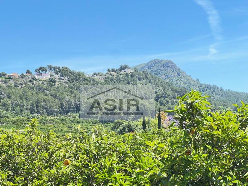 Foto 2527282b-cb57-4fad-8561-85dc49dda4b2. Chalet  venta en Urbanitzacions i Pedanies Nord Alzira