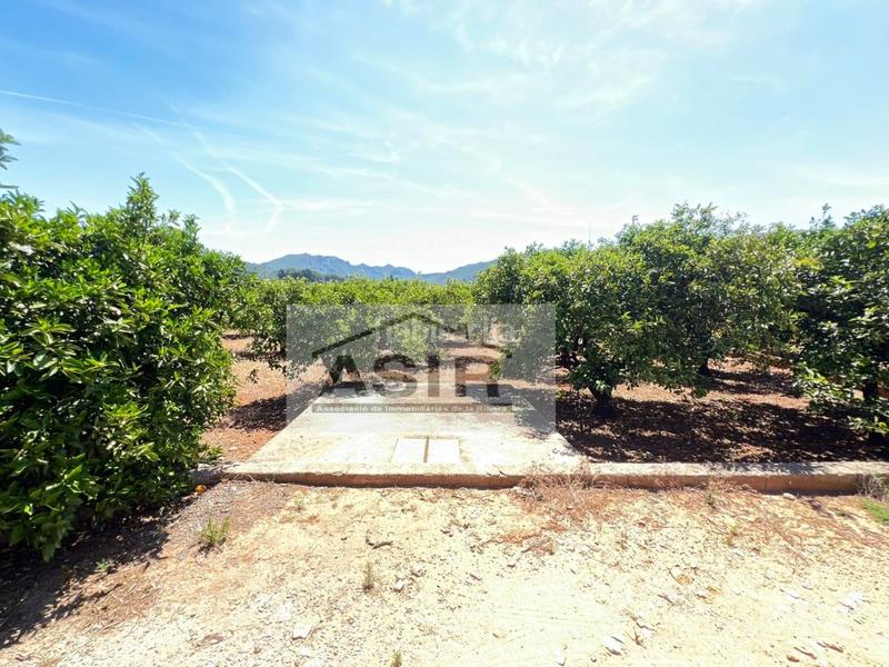 Foto 39d951ea-fead-4b94-8828-1567ad82b425. Chalet  venta en Urbanitzacions i Pedanies Nord Alzira