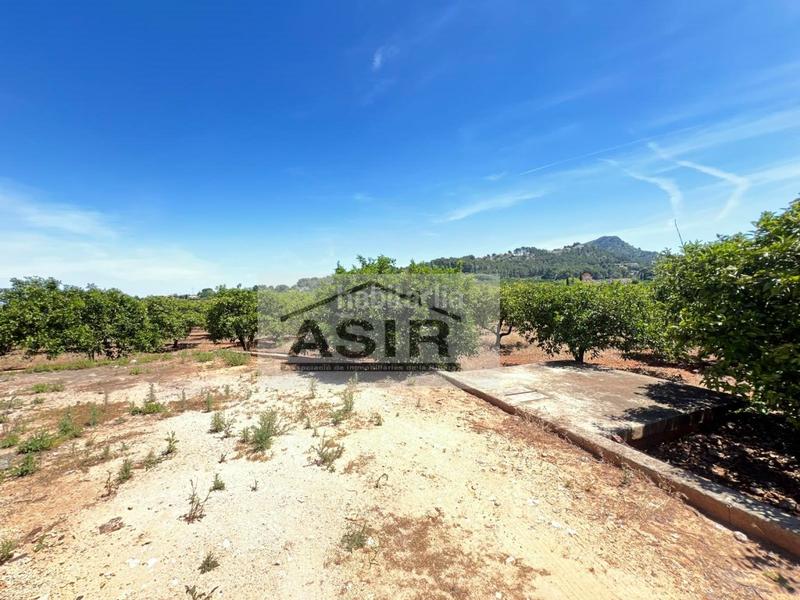 Foto 66188cf5-1cbd-4be0-99b4-e7c8fb8363ce. Chalet  venta en Urbanitzacions i Pedanies Nord Alzira