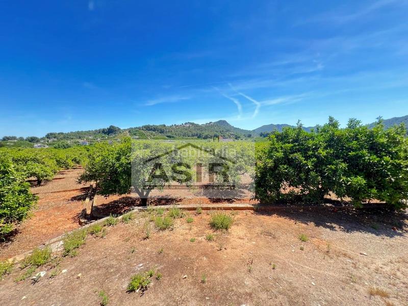 Foto 6bcee5b4-01a3-48c1-b9ab-a66cf41a9446. Chalet  venta en Urbanitzacions i Pedanies Nord Alzira