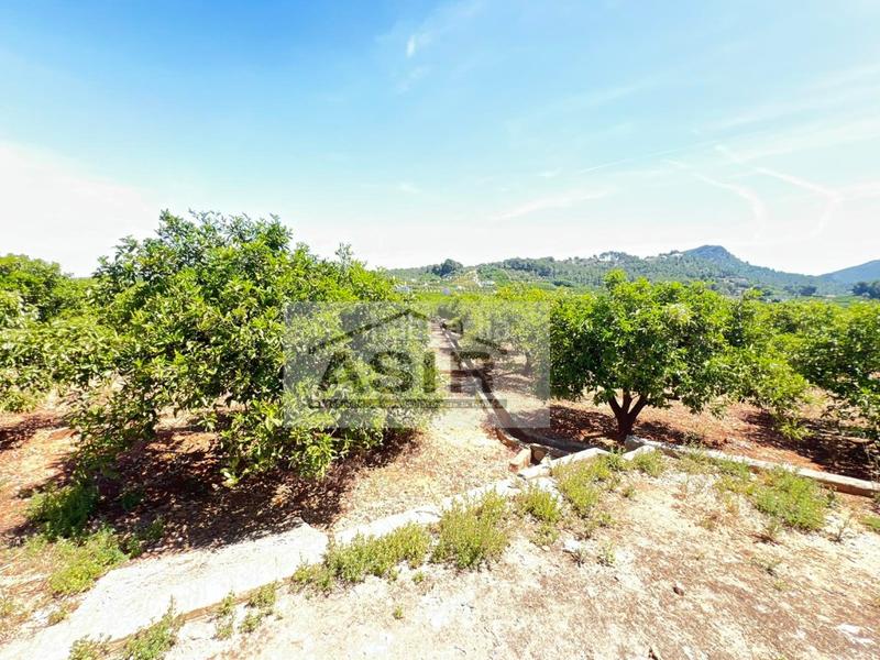 Foto 872b8d37-c501-408e-9482-ef777c9fe727. Chalet  venta en Urbanitzacions i Pedanies Nord Alzira