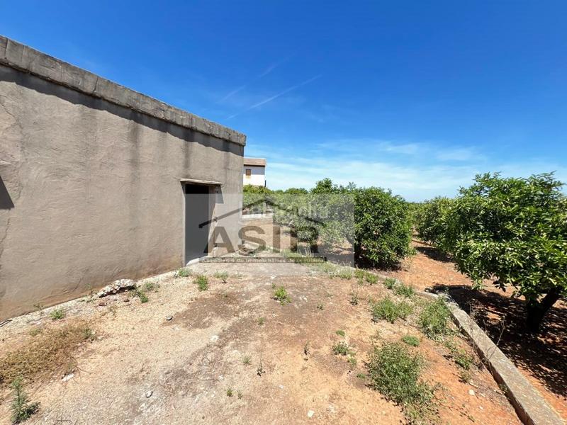 Foto 93c34d50-2675-4e26-b243-7df4f838a846. Chalet  venta en Urbanitzacions i Pedanies Nord Alzira