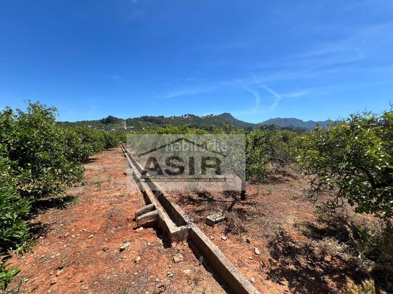 Foto a41cc46f-4fff-4a51-928d-71b6821489f6. Chalet  venta en Urbanitzacions i Pedanies Nord Alzira