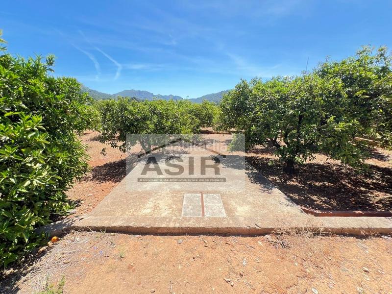 Foto bfc72b17-bb36-47b5-ad8b-1256a2e8a92d. Chalet  venta en Urbanitzacions i Pedanies Nord Alzira