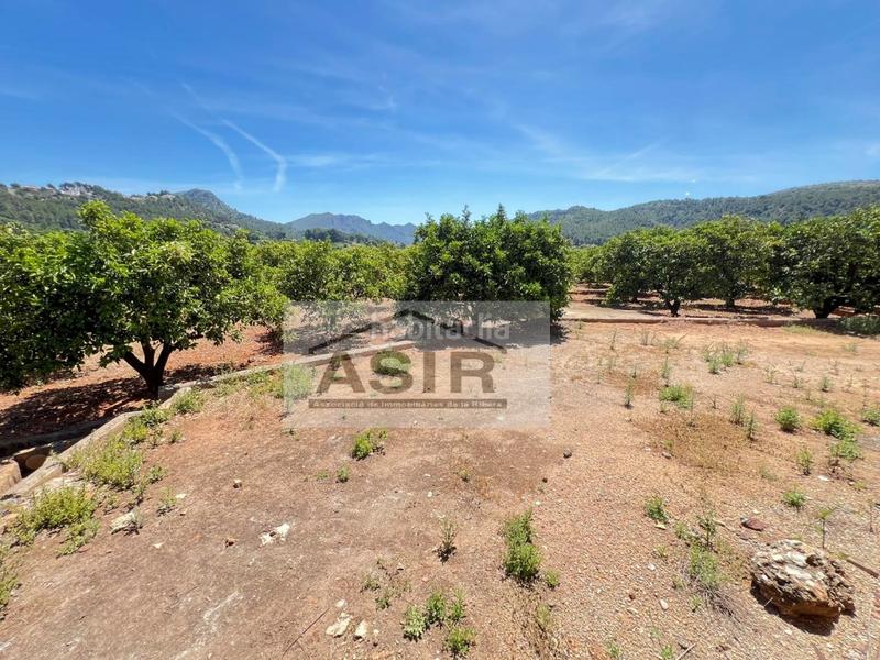 Foto c7999d81-7aa8-466a-ae62-eaf805d8b634. Chalet  venta en Urbanitzacions i Pedanies Nord Alzira