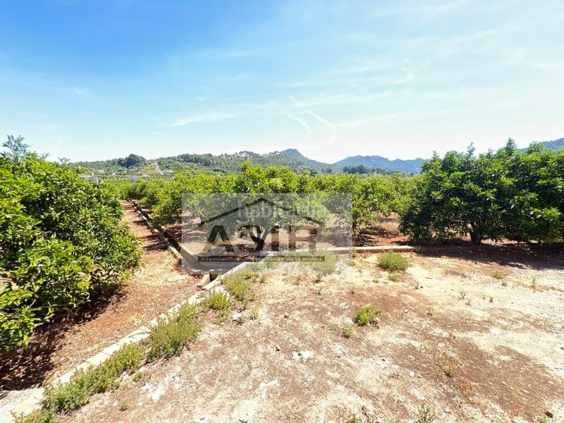 Foto d61e7152-9702-4e49-84a9-e037b70b1423. Chalet  venta en Urbanitzacions i Pedanies Nord Alzira