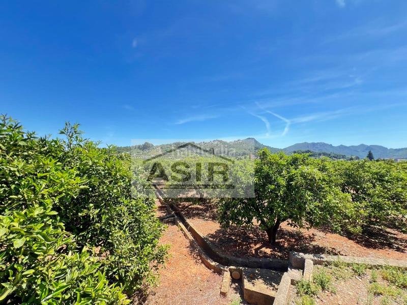 Foto e3237c4a-1b1a-4b84-9e9f-9967068948fb. Chalet  venta en Urbanitzacions i Pedanies Nord Alzira