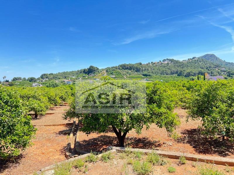 Foto f517e995-5870-4f1a-b15b-6cf7734025e1. Chalet  venta en Urbanitzacions i Pedanies Nord Alzira