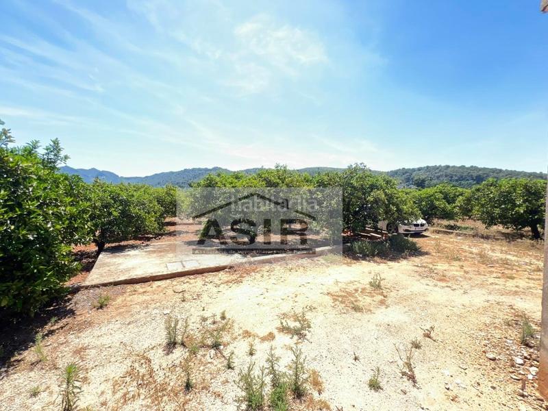 Foto f7290680-02a9-4f59-a686-6f8b01b00d3e. Chalet  venta en Urbanitzacions i Pedanies Nord Alzira