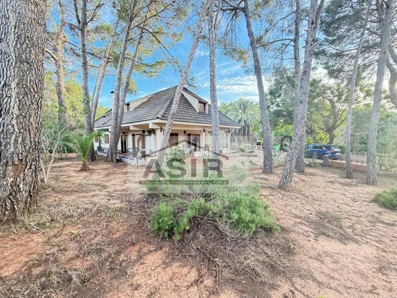 Foto 7f53e863-06ea-4724-88fa-69262992e791. Chalet in Urbanitzacions i Pedanies Sud Alzira