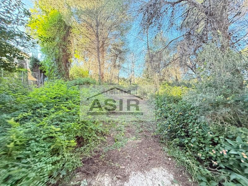 Foto 3167d139-0052-4d58-8988-deb011a4d03e. Xalet a Alberic