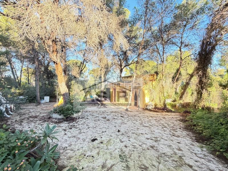 Foto 6aeca00b-d576-4308-9d70-3f6eb17f408a. Xalet a Alberic