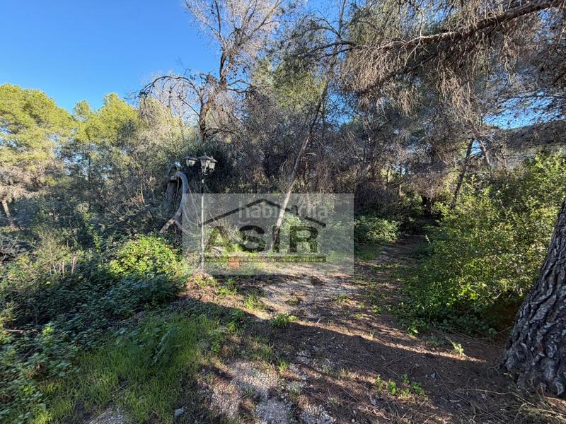 Foto 78d1c3a7-7b75-433b-9e43-8fc541b0fe72. Xalet a Alberic