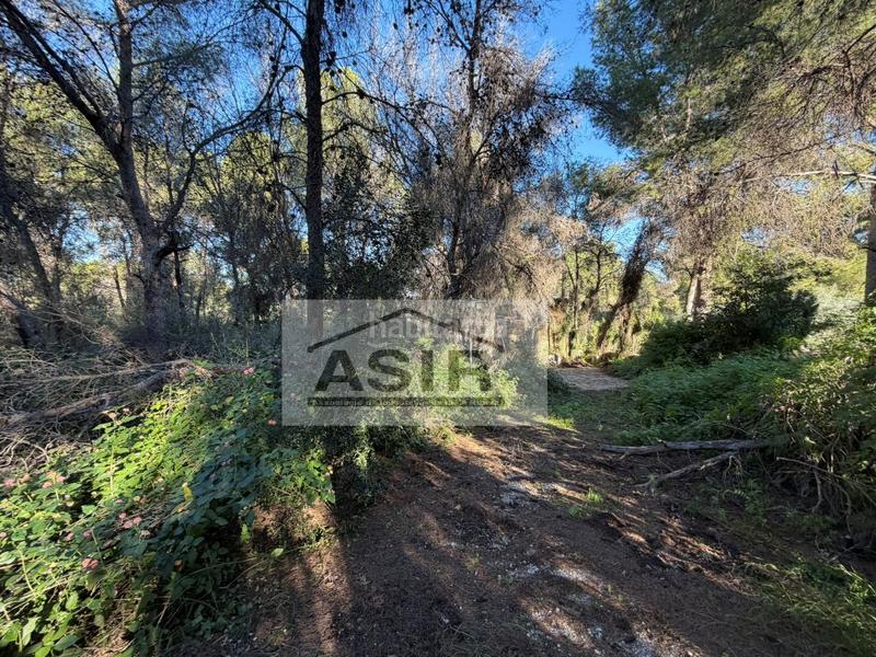 Foto a17fc857-e359-4dee-badd-442fd0918827. Xalet a Alberic