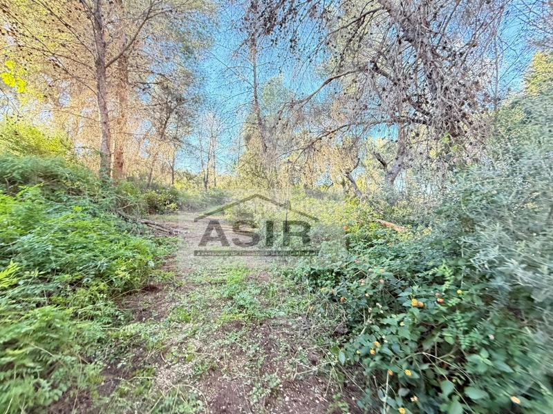 Foto b0721499-2598-491c-bdb2-44b3d4f32e0c. Xalet a Alberic