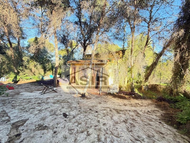 Foto bdedd2be-1e49-4ecd-9e27-a8d27dab3b48. Xalet a Alberic