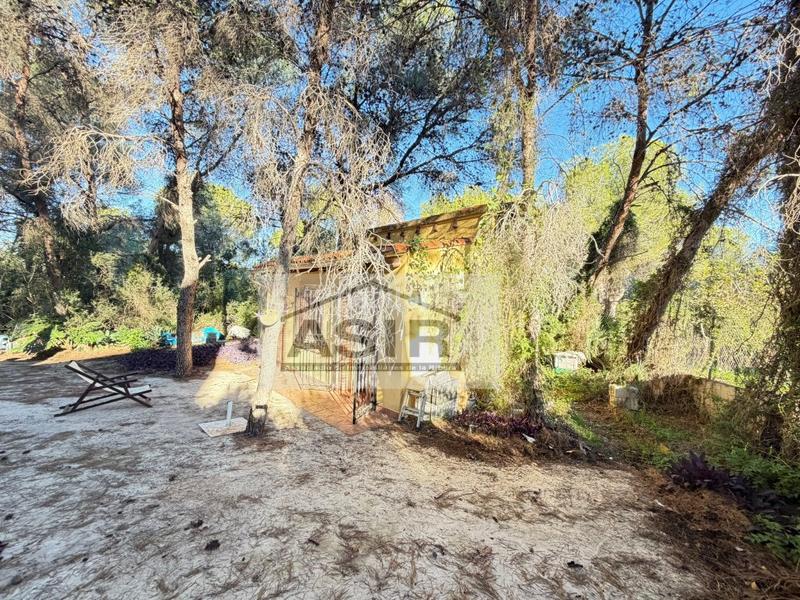 Foto fed45a1e-576b-49ae-b530-9f864c4c7069. Xalet a Alberic