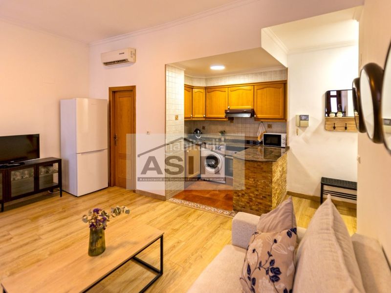 Foto d6e08b81-cf13-4c7d-83a0-934ec2835074. Estudi a Xàtiva