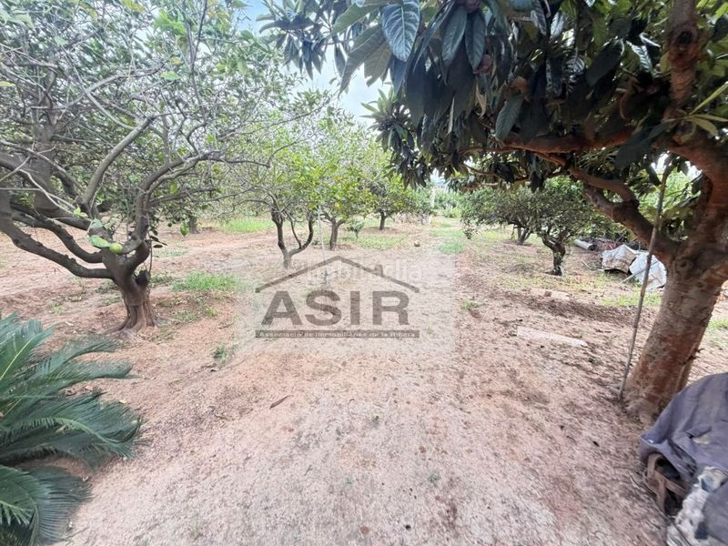 Foto e01b98cf-4711-4e68-9090-7d6cf07c574e. Xalet amb aparcament a Benicull De Xúquer