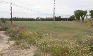 Finca rústica  Camino de fuentidueña a la barca 29. Terreno rústico en estremera