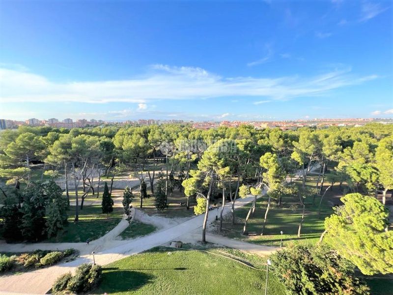Foto f775371c-26ef-493b-9ff5-a222c5a661be. Pis a San Cristóbal Madrid