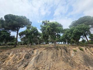 Finca rústica  Sant daniel. Oportunidad! terreno de 1236 m2 soleado en sant daniel tordera