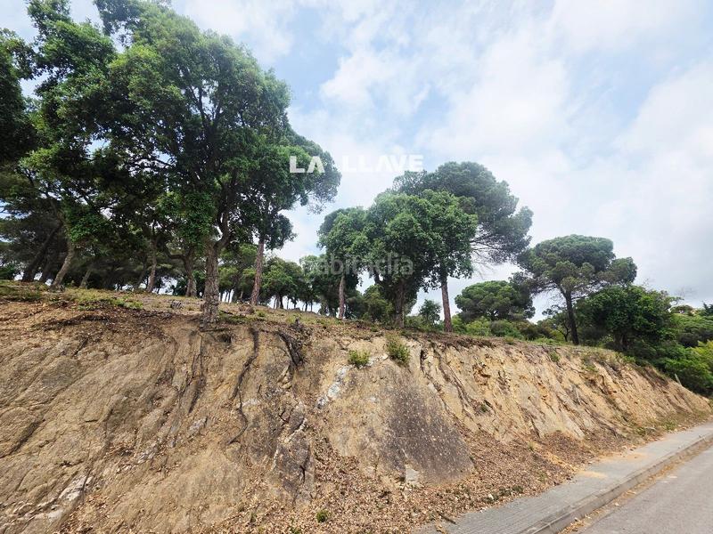 Foto be7cba82-e5eb-4e27-b947-9ae9defd8162. Finca rústica oportunidad! terreno de 1236 m2 soleado en sant daniel en Tordera